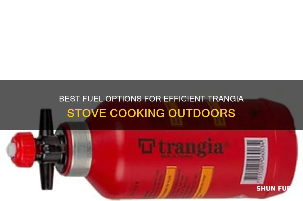 what fuel to use in a a trangia stove