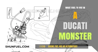 Ducati Monster Fuel Guide: Best Gasoline for Optimal Performance