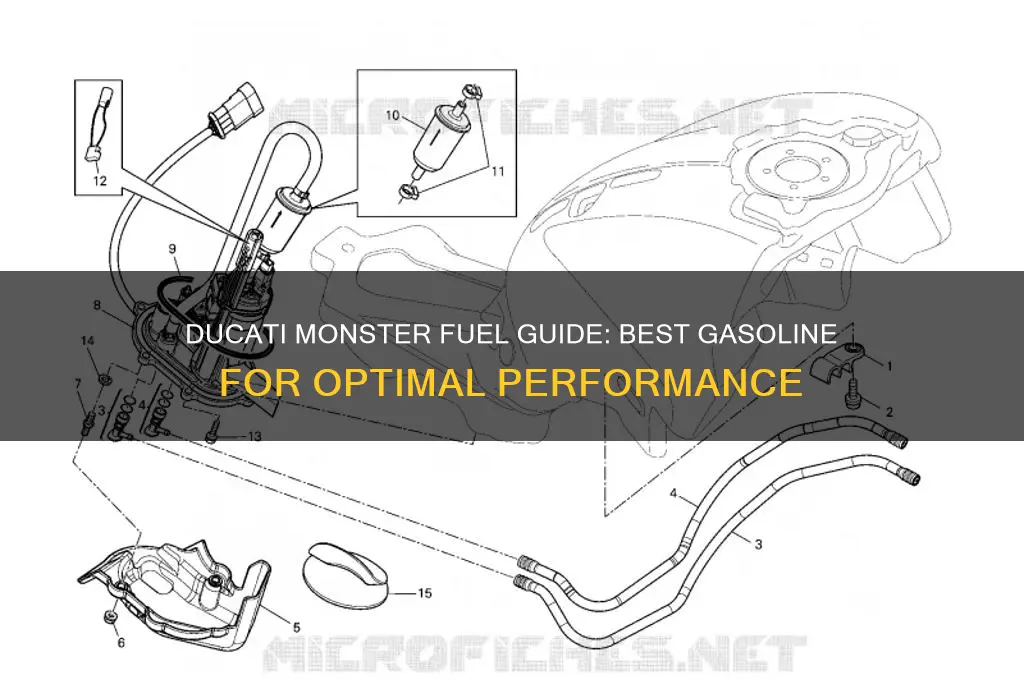 what fuel to use in a ducati monster