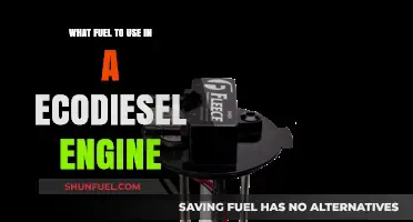 EcoDiesel Engine Fuel Guide: Best Options for Optimal Performance