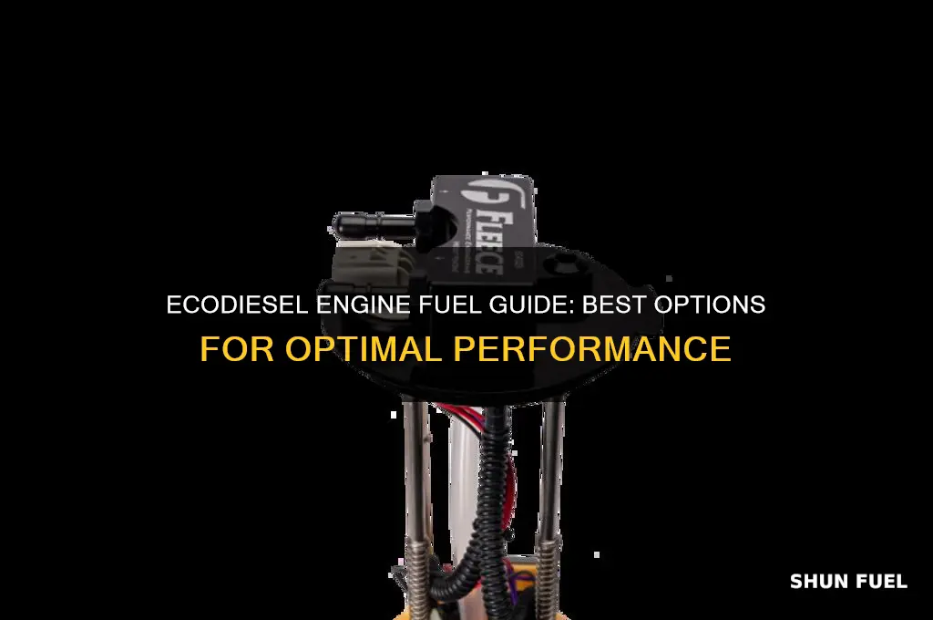 what fuel to use in a ecodiesel engine