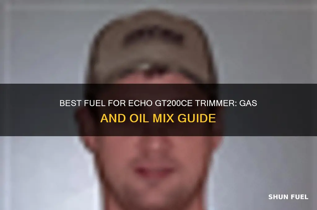what fuel to use in an echo gt200ce string trimmer