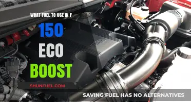 Best Fuel Options for F-150 EcoBoost Performance and Efficiency