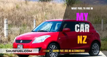 Best Fuel Options for Your Car in New Zealand: A Guide