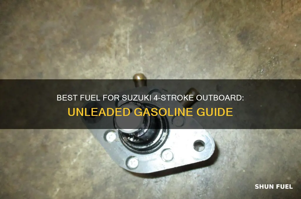 what fuel to use in suzuki 4 stroke outboard