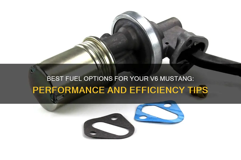 what fuel to use in v6 mustang