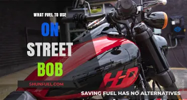 Best Fuel Options for Optimal Performance on Your Harley Street Bob