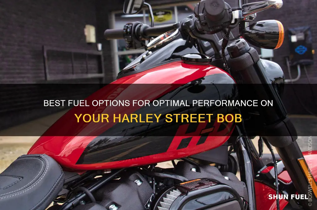 what fuel to use on street bob