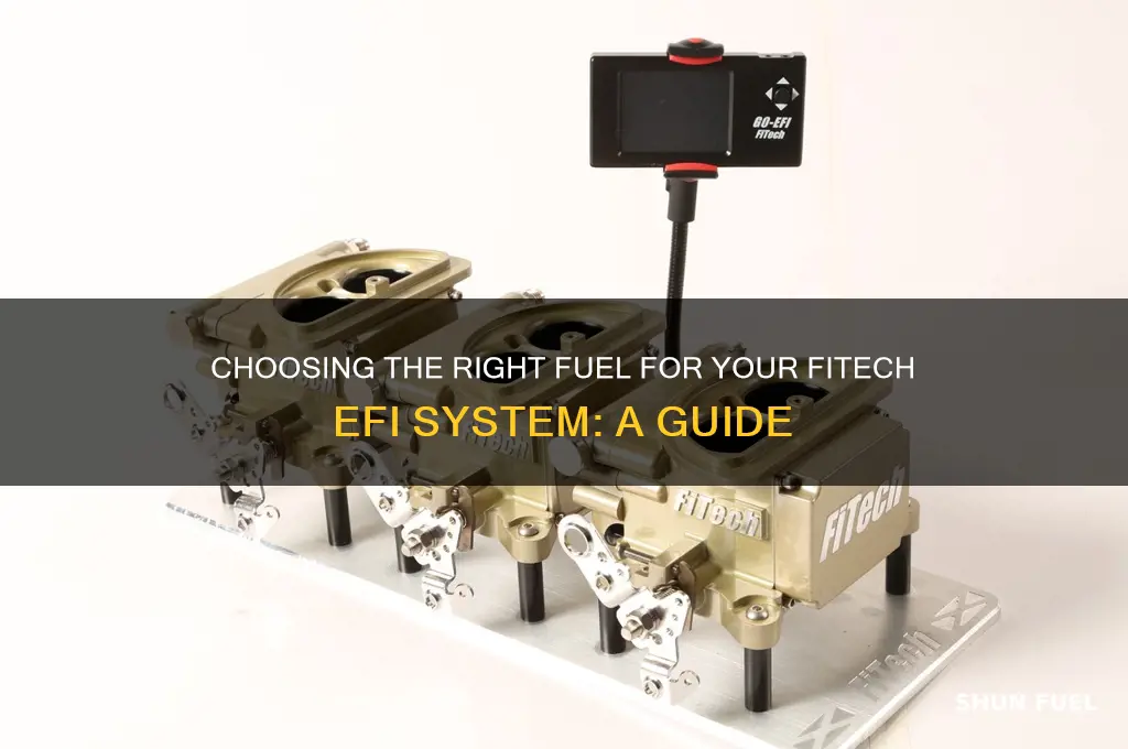 what fuel to use with fitech