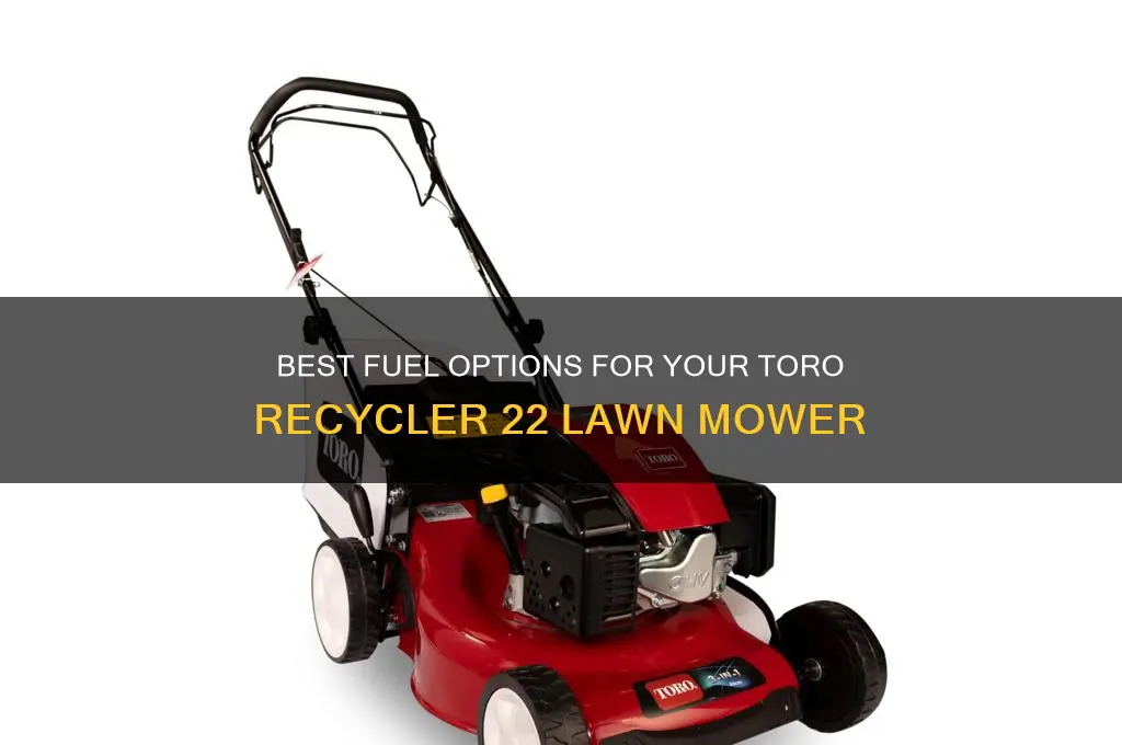 what fuel to use with toro recycler 22