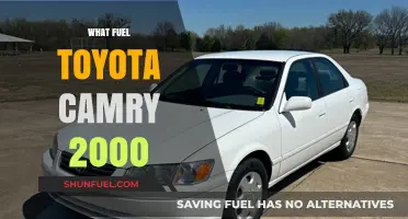 Toyota Camry 2000 Fuel Type: Gasoline or Alternative Options?