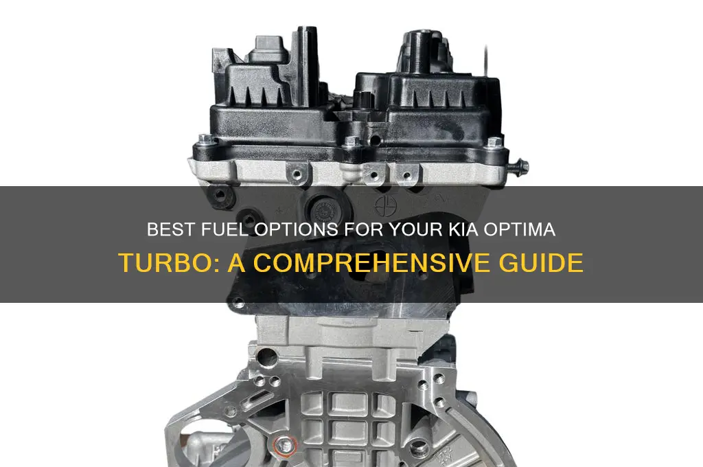 what fuel tp use kia optima turbo