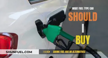 Choosing the Right Fuel Type for Your Next Car