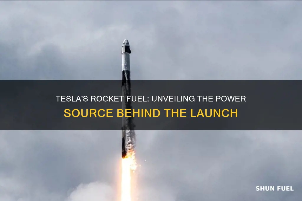what fuel type did the telsa rocket use