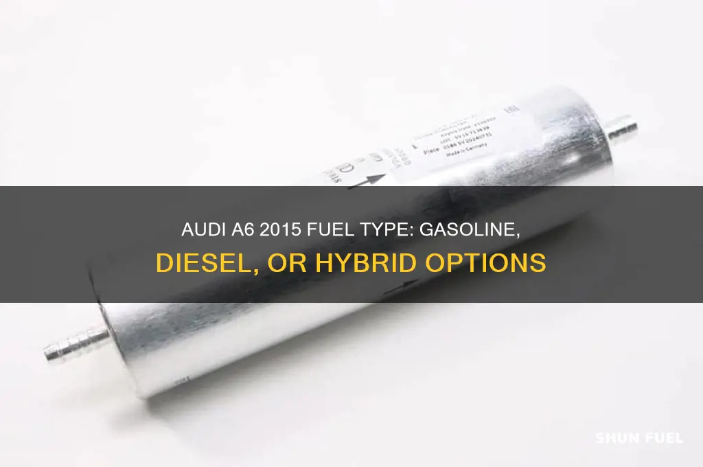 what fuel type does 15 audi a6 use
