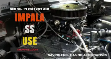 2008 Chevy Impala SS Fuel Type: Gasoline or FlexFuel?