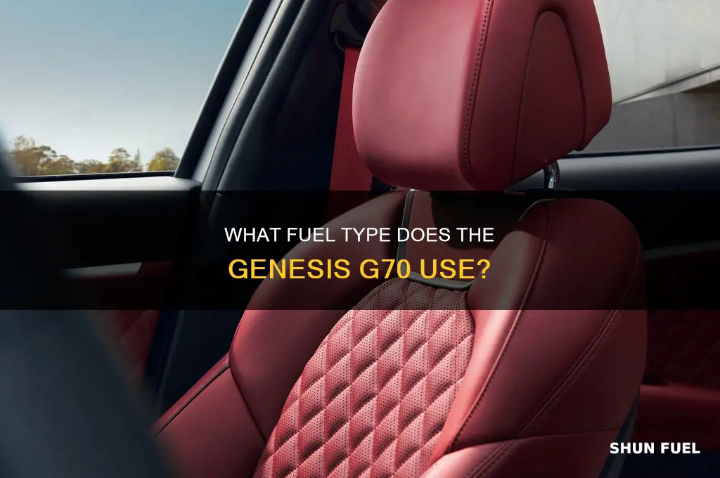 what fuel type does the g70 use