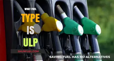Understanding ULP: What Fuel Type is ULP and Its Uses