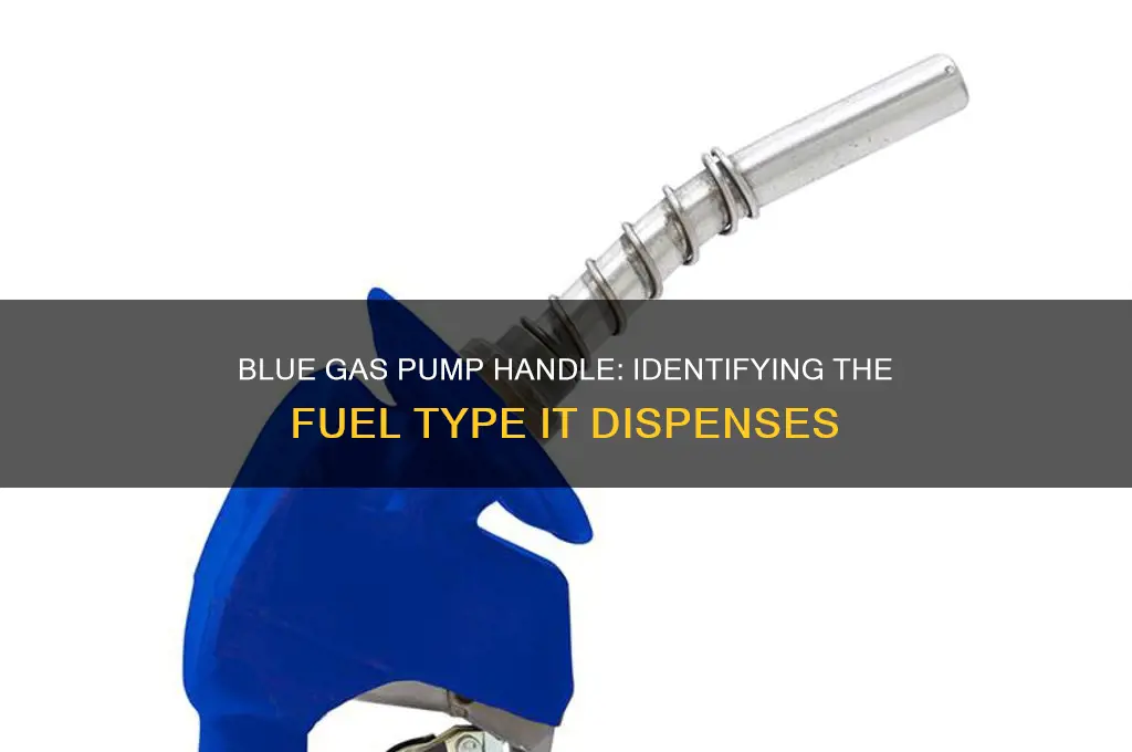what fuel type uses a blue gas pump handle