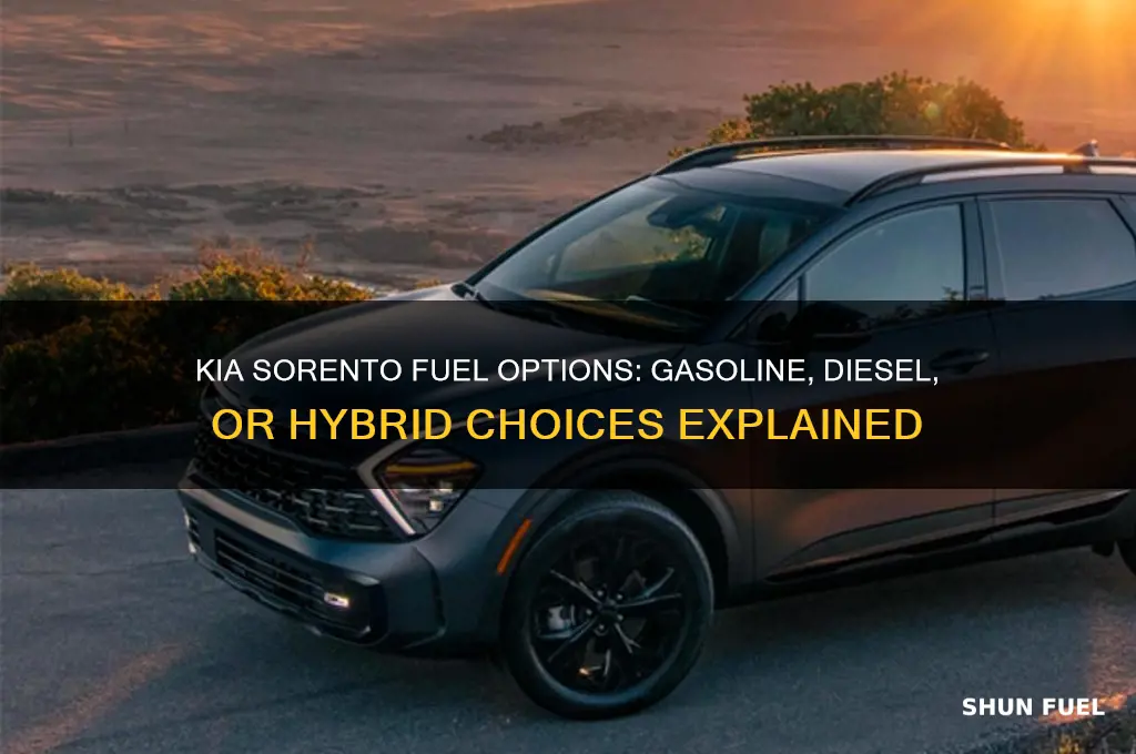 what fuel type would a kia serento use