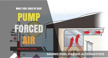 Heat Pump Forced Air Systems: Fuel Types and Efficiency Explained