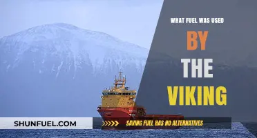 Viking Voyages: Uncovering the Fuel Sources of Norse Explorers