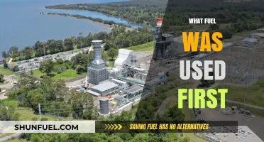 The Dawn of Energy: Exploring Humanity's First Fuel Source