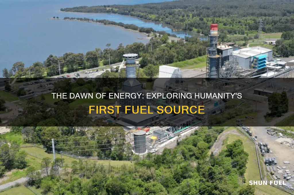 what fuel was used first