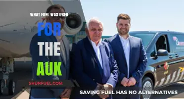 Exploring the Fuel Source of the Historic Auk Aircraft