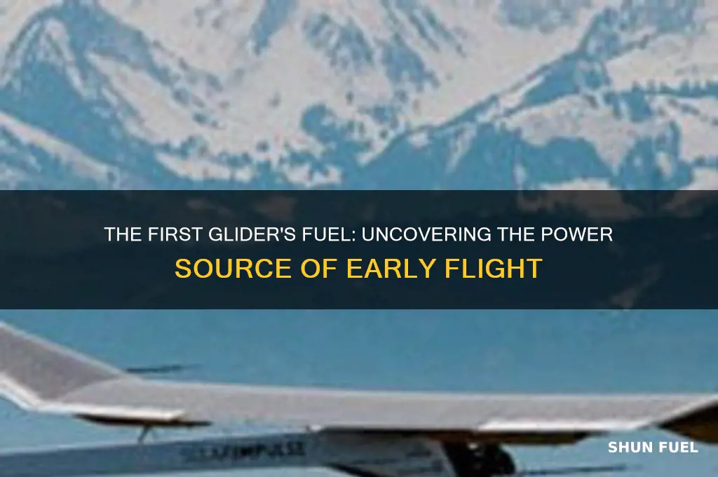 what fuel was used for the first glider