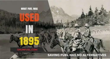 Exploring 1895's Energy Sources: What Fueled the World?