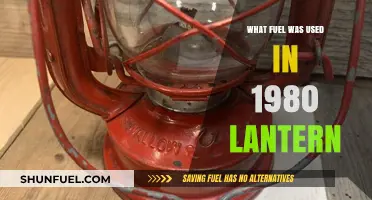 1980 Lantern Fuel: Exploring the Common Sources of Light