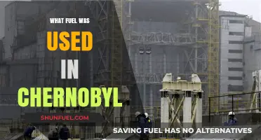 Chernobyl's Nuclear Fuel: Unveiling the Power Source Behind the Disaster