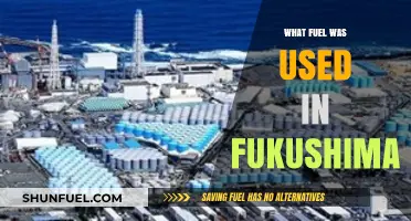 Fukushima Nuclear Disaster: Understanding the Fuel Source and Impact