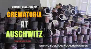 Auschwitz Crematoria Fuel: Uncovering the Dark History of Zyklon B
