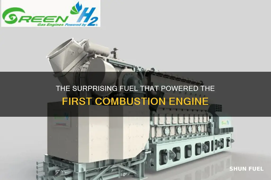 what fuel was used in the first combustion engine