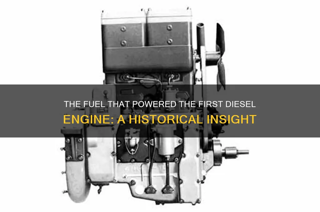 what fuel was used in the first diesel engine