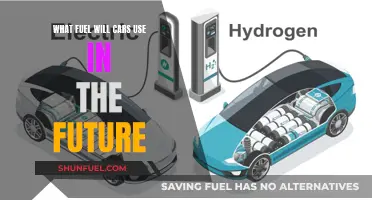 The Future of Cars: What Fuel Will Power Them?