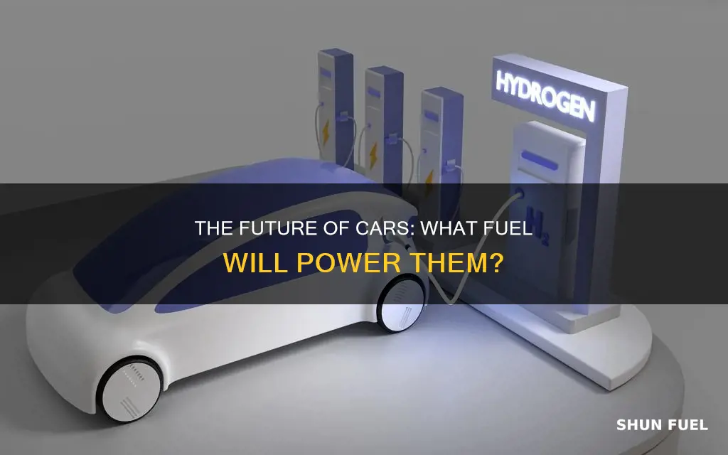 what fuel will cars use in the future