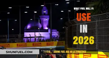 F1's 2026 Fuel Revolution: Sustainable Power for the Future Grid