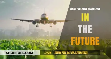 Future Skies: Exploring Sustainable Aviation Fuels for Greener Flights