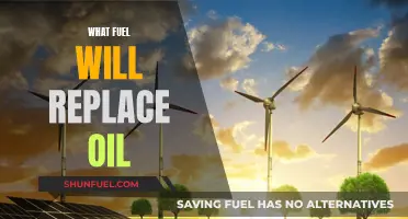 The Future of Fuel: What Will Power Tomorrow's World?