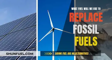 The Future of Energy: Sustainable Alternatives to Fossil Fuels