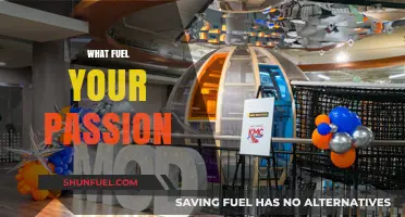 Discovering the Spark: What Ignites and Sustains Your Passion