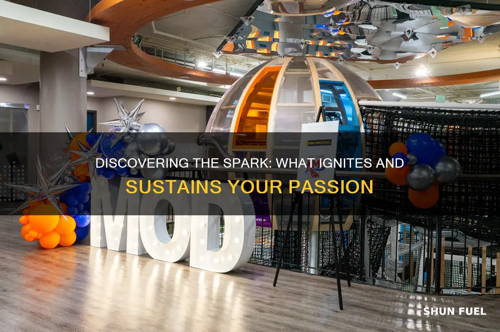 what fuel your passion