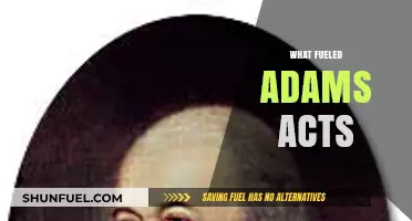Unveiling the Driving Forces Behind the Enactment of the Adams Acts