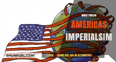 Economic Ambitions, Political Power, and Cultural Beliefs Fueled American Imperialism
