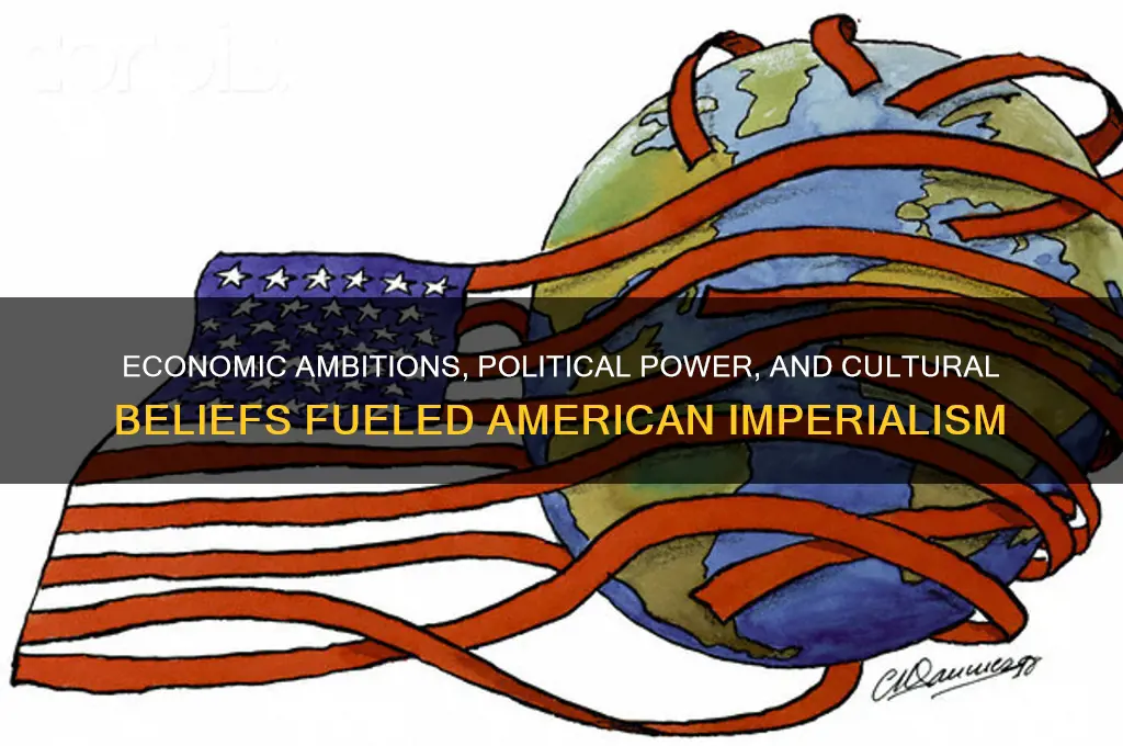 what fueled americas imperialsim