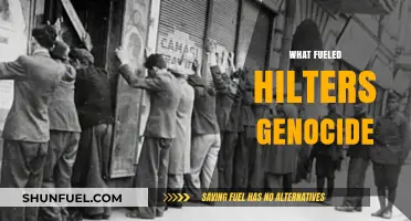 Unraveling Hitler's Genocide: Ideology, Power, and Systematic Hate Explained