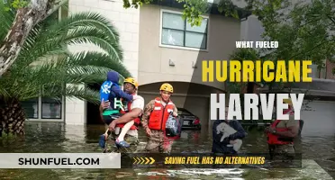 Unraveling the Factors That Fueled Hurricane Harvey's Devastating Impact